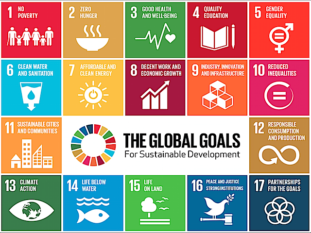 sustainable development goals, global goals, 2030